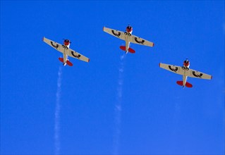 Aerobatic Team Flying Lions