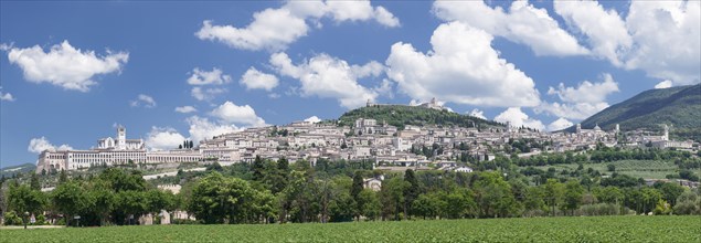 Assisi with Basilica of San Francesco and the Rocca Maggiore