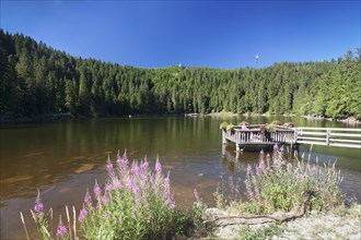 Mummelsee lake
