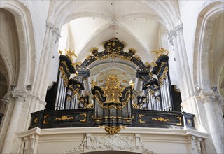 Organ in the collegiate church