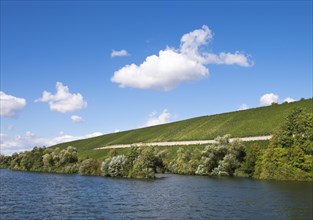 Vineyards along Main river