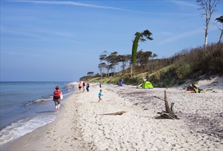 West beach at the Baltic Sea