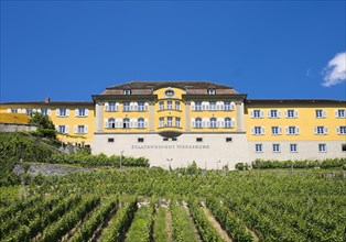 State vineyard in Marstall