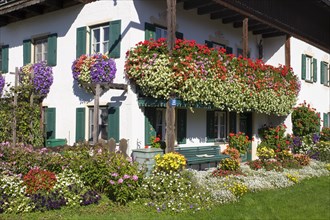 Farmhouse with flower-boxes in Beuerberg