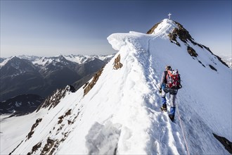 Mountaineer ascending the Wildspitze summit via the northeast ridge