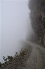 Death Road in fog