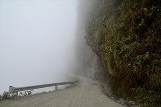 Death Road in fog