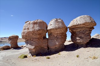 Mushroom rocks