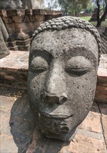 Large Buddha head statue