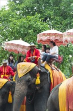 Tourists riding on a decorated elephant