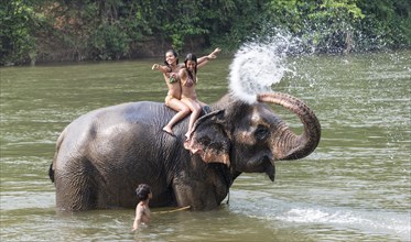 Elephant spraying two tourists with water