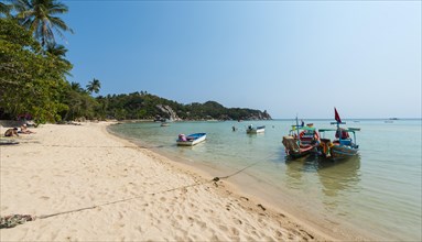 Longtail boats on the sandy beach