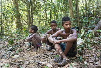 Three boys of the Orang Asil tribe sitting on the ground in the jungle