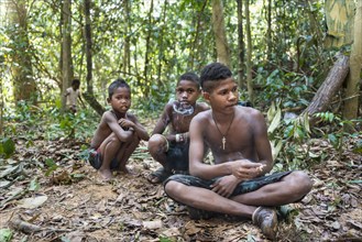 Three boys of the Orang Asil tribe sitting on the ground in the jungle and smoking