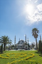 Blue Mosque