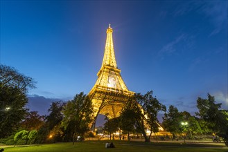 Illuminated Eiffel Tower at dusk