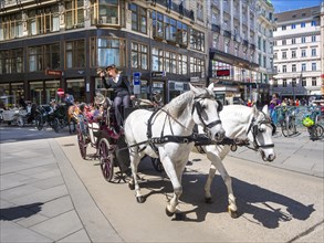 St. Peter's Square with horse-drawn carriage