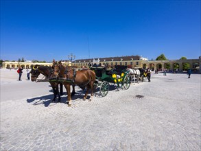 Horse-drawn carriage in front of Schonbrunn Palace