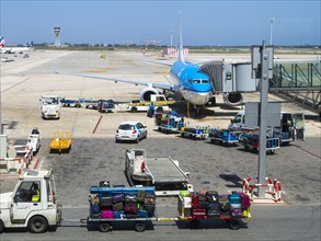 KLM aircraft at the terminal with luggage trollies