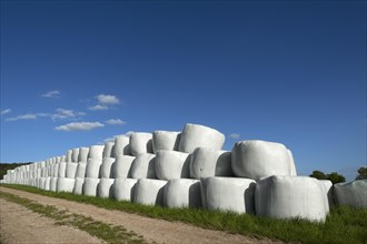 Wrapped silage bales