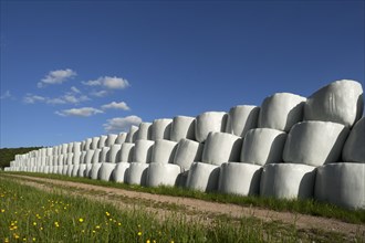 Wrapped silage bales