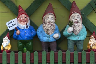 Garden gnomes