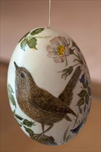 Painted duck egg with a wren