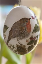 Duck egg with painted on Robin