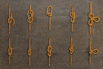 Various tied rope knots