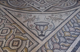 Floor mosaic in the Grand Master's Palace