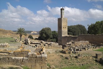 Ruins and minaret of the former Islamic school Zaouia