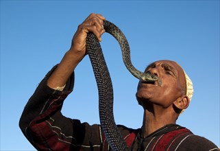Entertainer holding snake