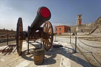Cannon in the Old Fortress
