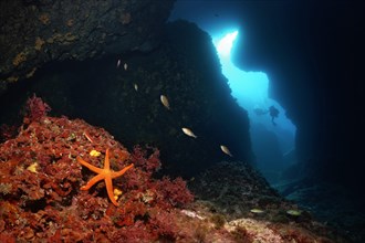 Two divers in a cave entrance