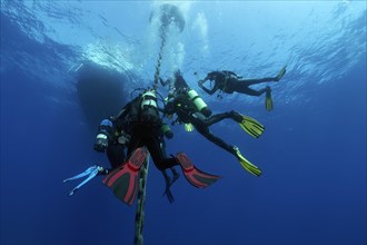Group of divers after deep dive