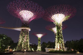 Supertree Grove by night