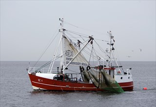 Shrimp boats