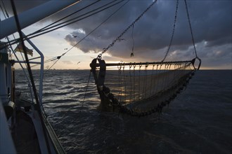 Fishing trip of a crab cutter with net in front of Busum