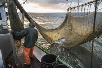 Fishing trip of a crab cutter on the North Sea off Busum