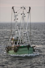 Fishing trip of a crab cutter on North Sea Busum