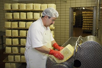 Dairy expert in the aging cellar of the Sarzbuttel fine cheese dairy