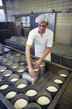 Dairy expert is filling curd into moulds at the Sarzbuttel fine cheese dairy