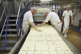 Dairy experts at the cheese vat at the Sarzbuttel fine cheese dairy