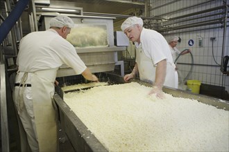 Dairy experts at the cheese vat at the Sarzbuttel fine cheese dairy