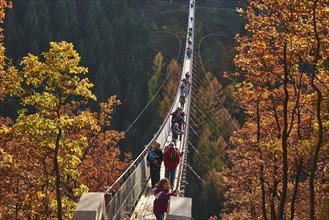 Suspension bridge over Geierlay Morsdorfer Bachtal