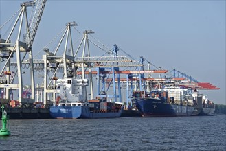 Container port with cranes