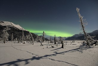 Aurora borealis