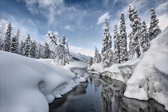 Heavy snow along Bench Creek