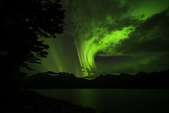 Aurora borealis over Prince William Sound