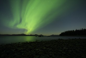 Aurora borealis and moonlight over Prince William Sound